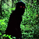 Image for article titled Uncle Boonmee Who Can Recall His Past Lives